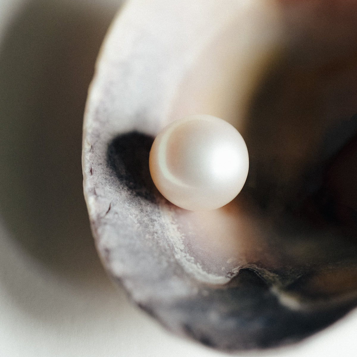 Nature's Perfect Gem: How a Pearl is Formed