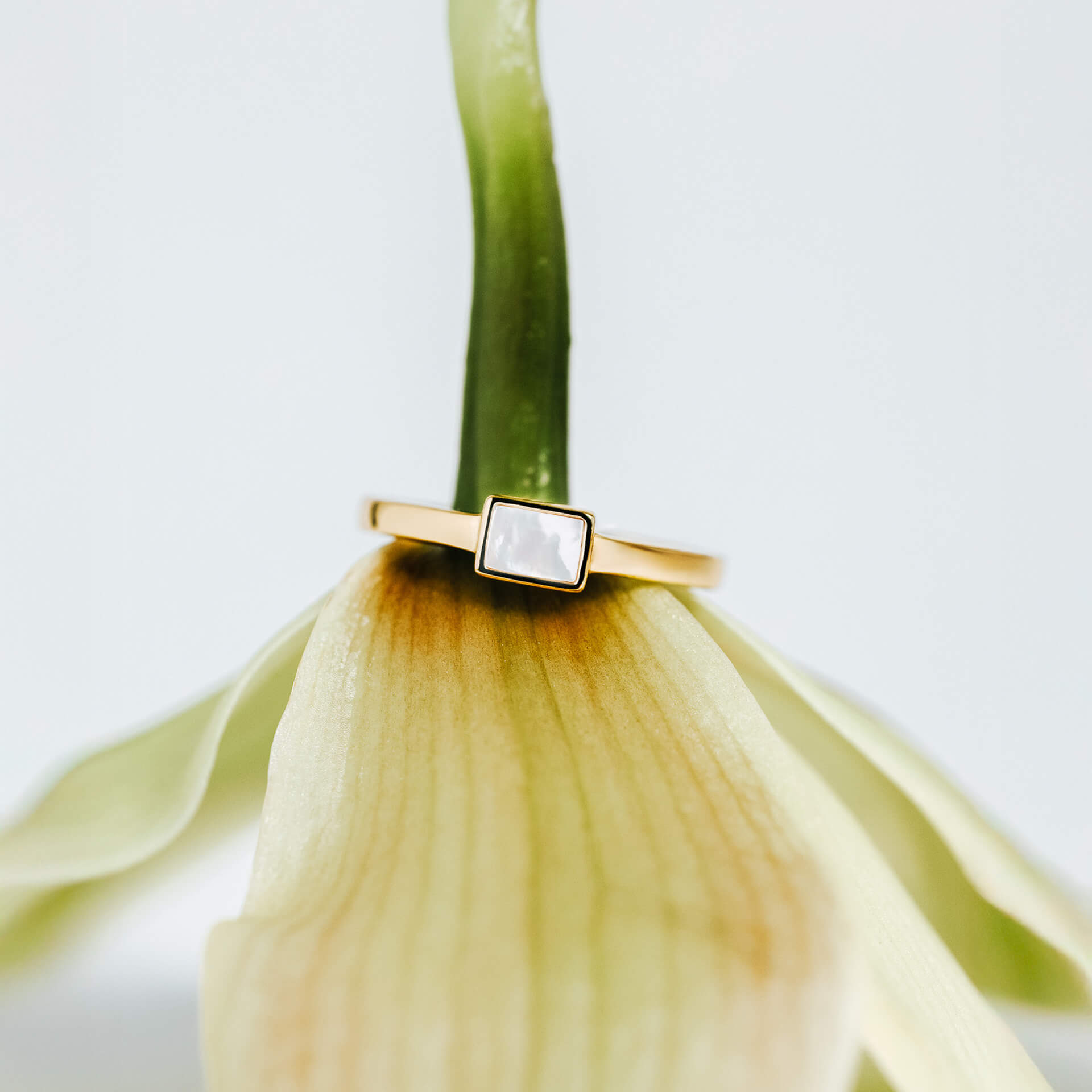 Gold ring with a mother of pearl on a green orchid flower petal