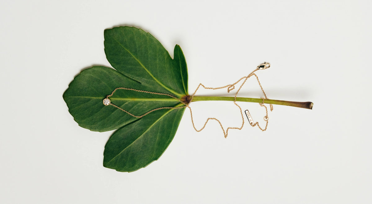 A delicate gold necklace, with a small clear diamond pendant draped over a green leaf on a plain white background.