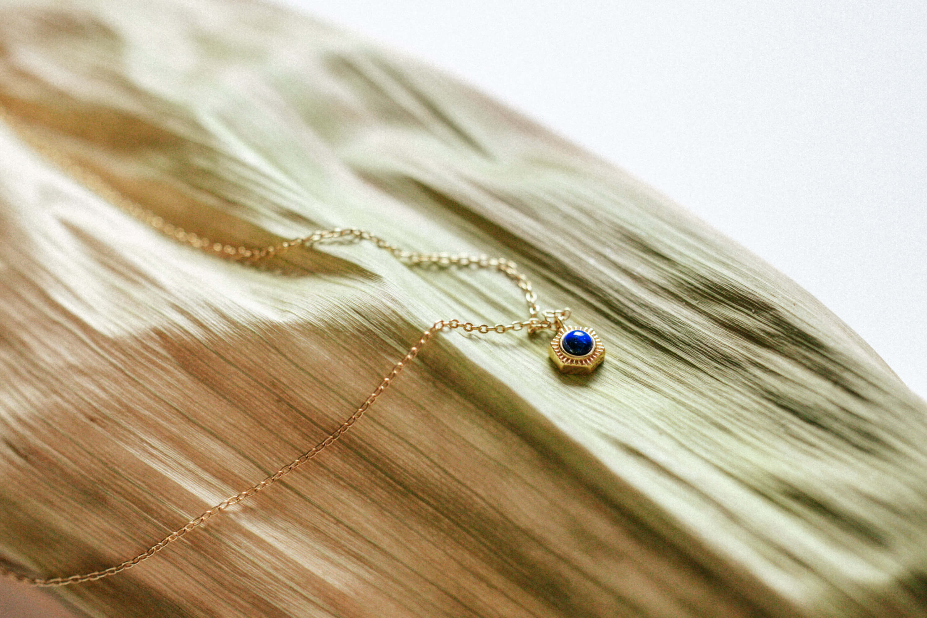 Gold necklace with Lapis Lazuli/blue stone - Styled on a textured, dried leaf/bamboo shoot.
