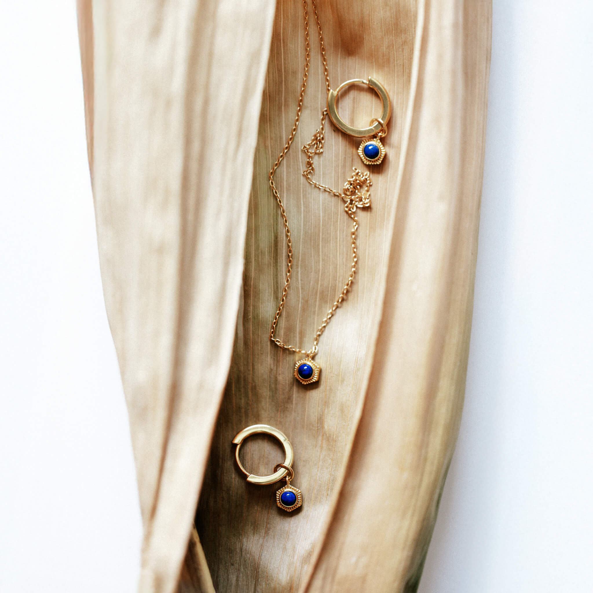 Gold necklace and earrings with blue lapis lazuli gemstones on dried leaf background