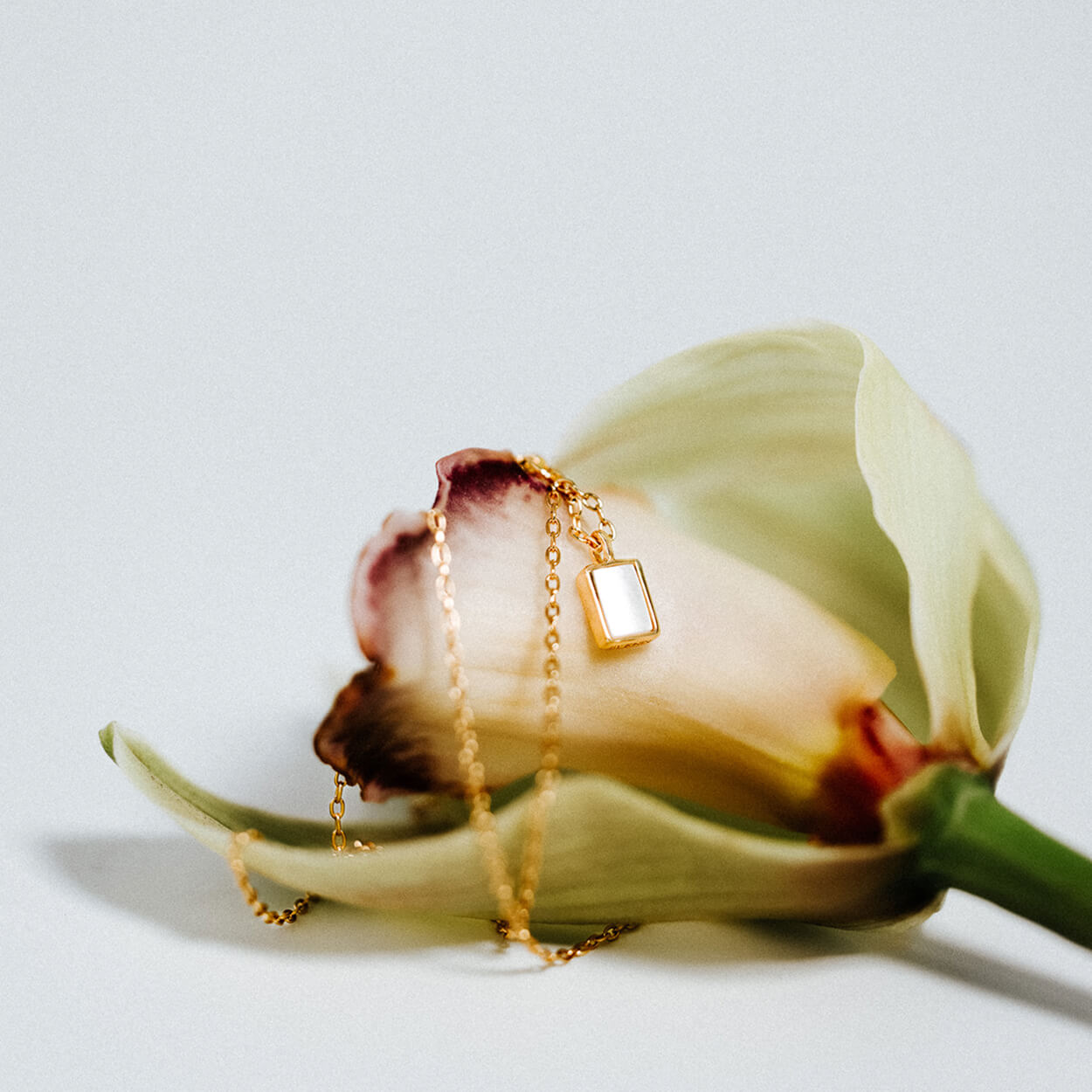 Gold necklace with a mother of pearl rectangular baguette pendant on an orchid flower against a light background