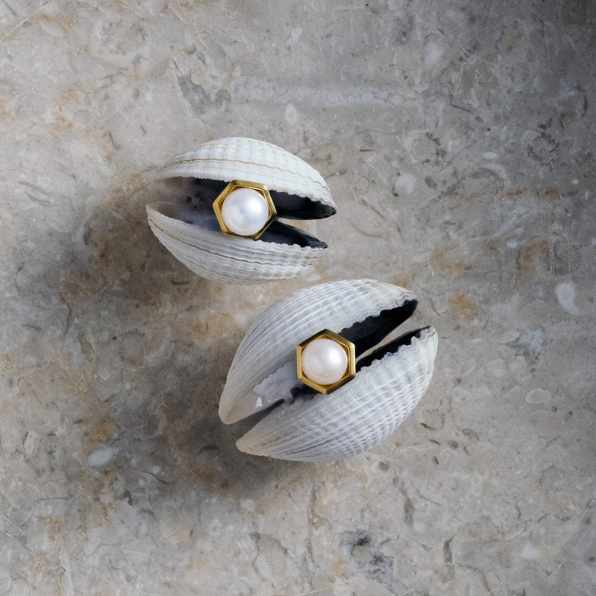 Two seashells with pearl rings inside on a textured surface