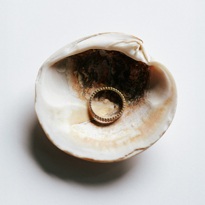 Gold ring inside a shell on a white background