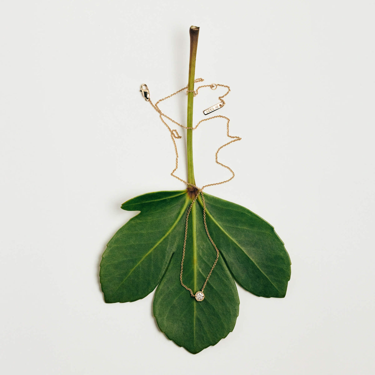 A delicate gold necklace, with a small clear diamond pendant draped over a green leaf on a plain white background.