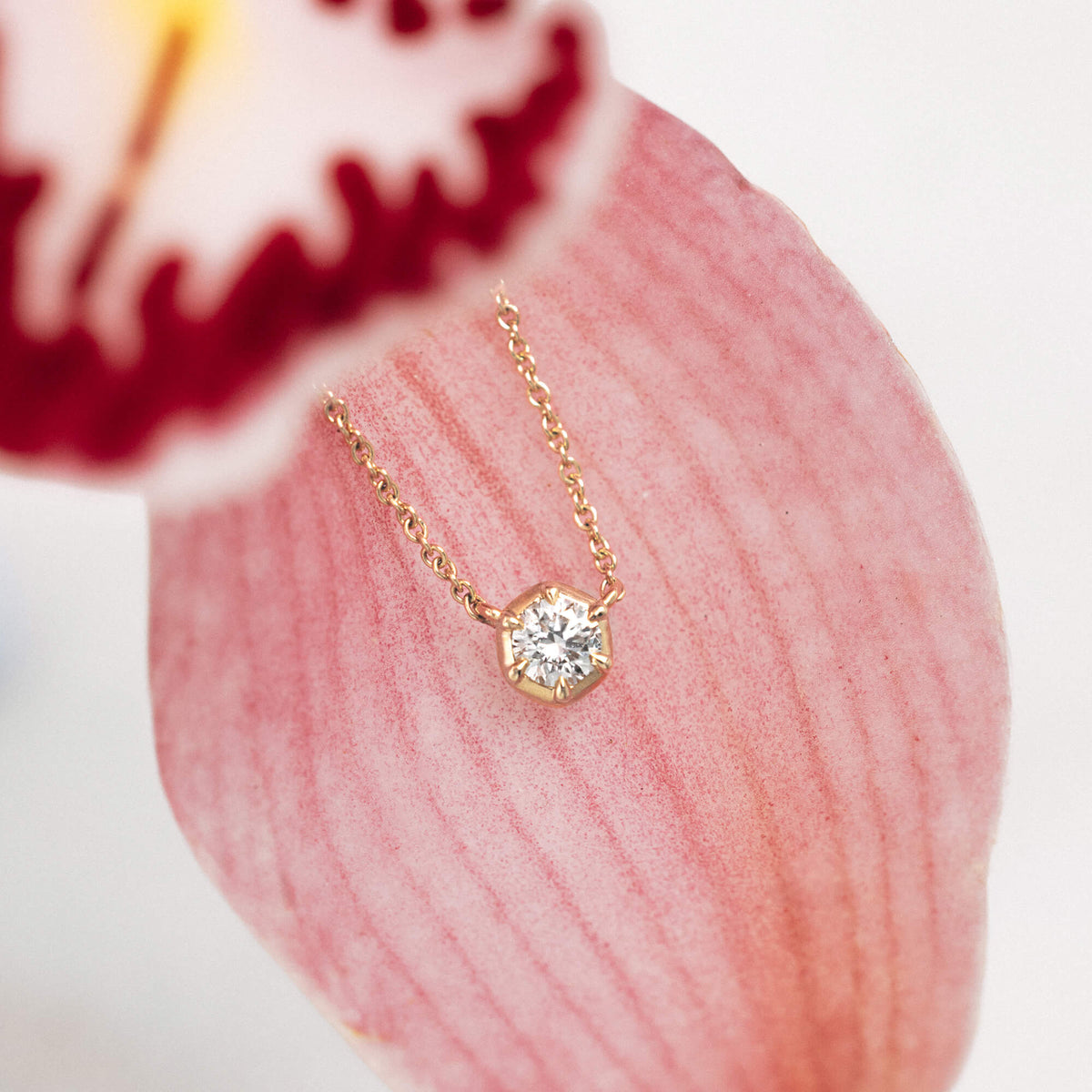 A delicate gold necklace with a single round-cut lab diamond pendant, resting on a pink orchid petal against a soft white background. Designed in NZ