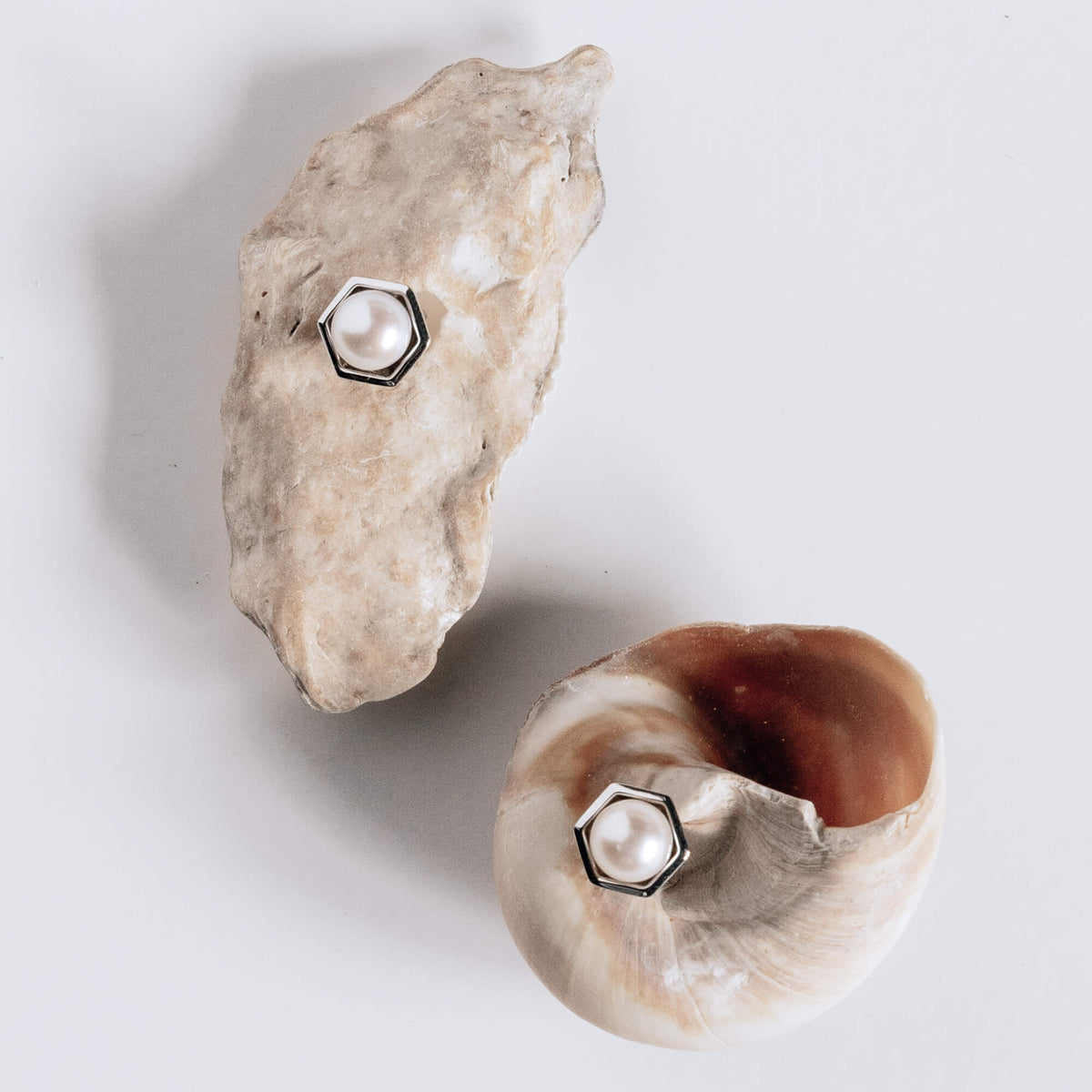 Pearl stud earrings on sterling silver honeycomb on two different shells against a white background