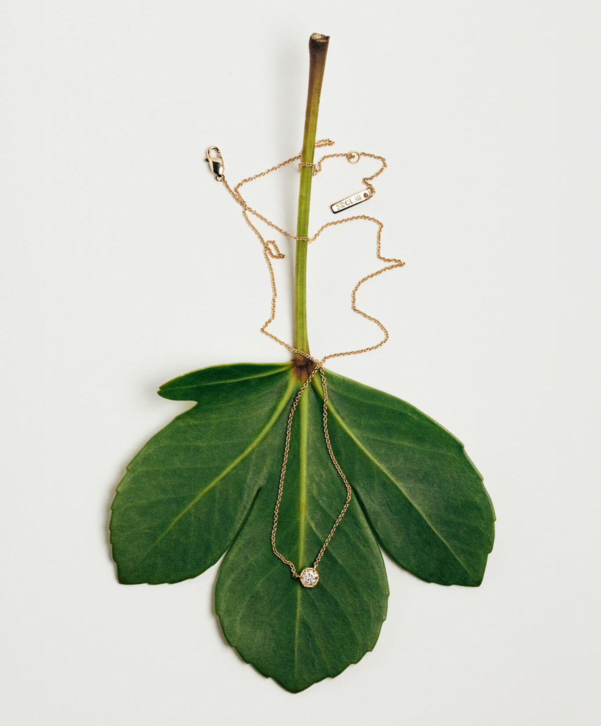 A delicate gold necklace with a small clear diamond pendant is draped over a green leaf, with the necklace chain also arranged on a white background.