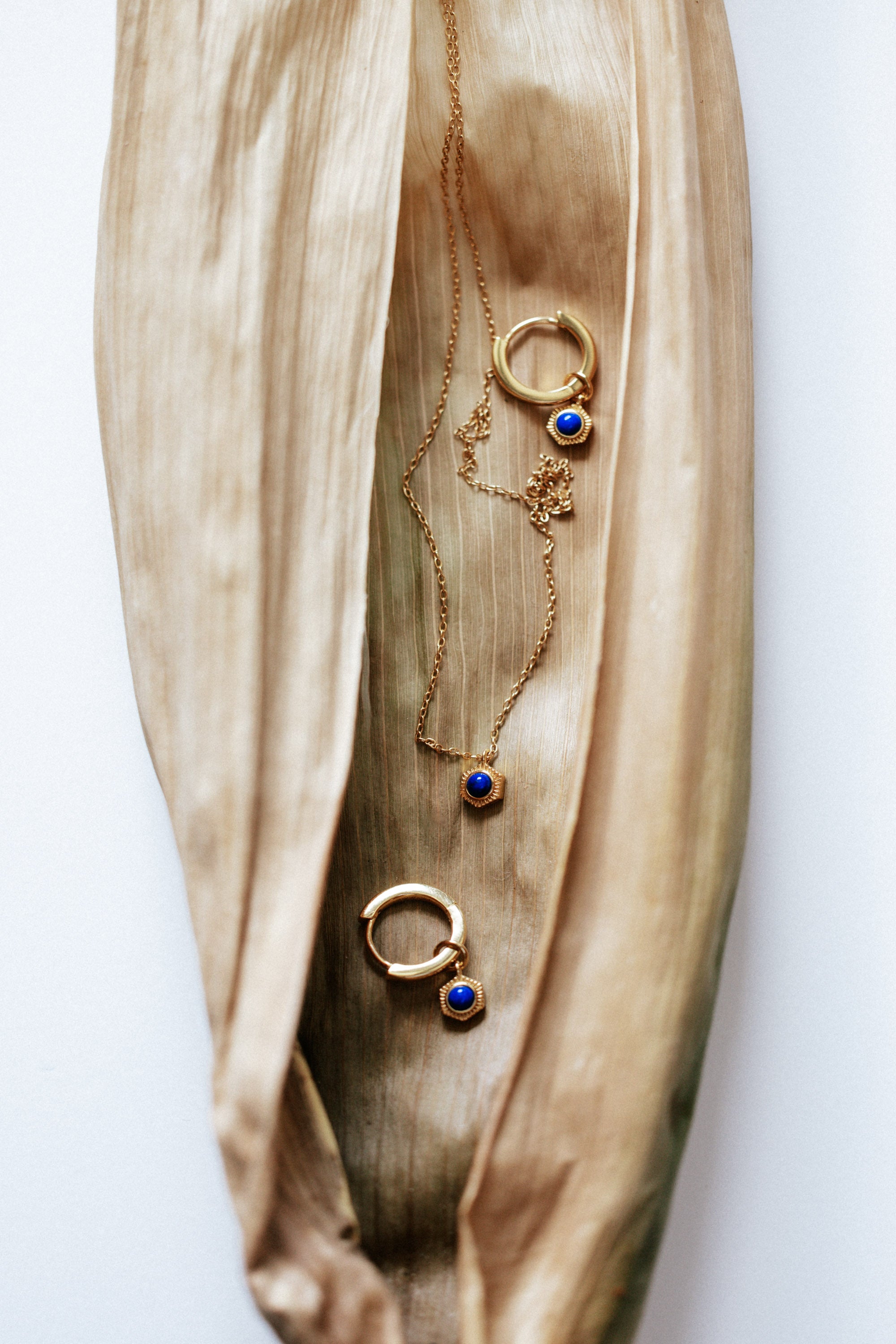 Full Set - Gold necklace and two huggie hoop earrings with Lapis Lazuli/blue stones, displayed in a dry husk/leaf.