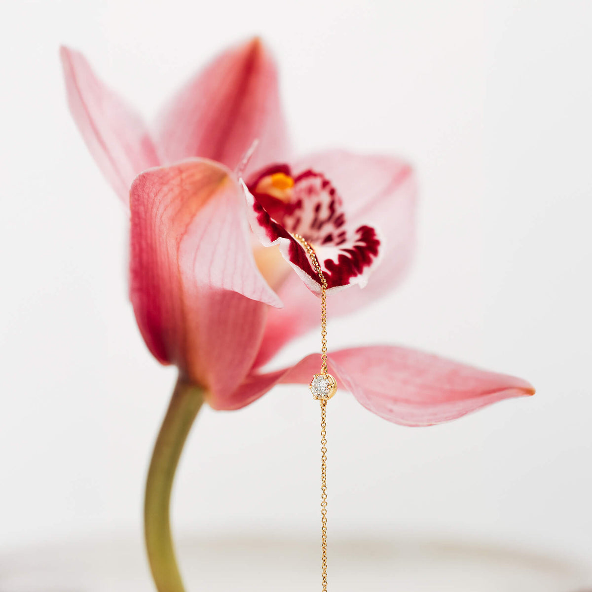 A delicate gold chain bracelet with a small clear diamond is draped over a pink orchid flower against a soft white background.