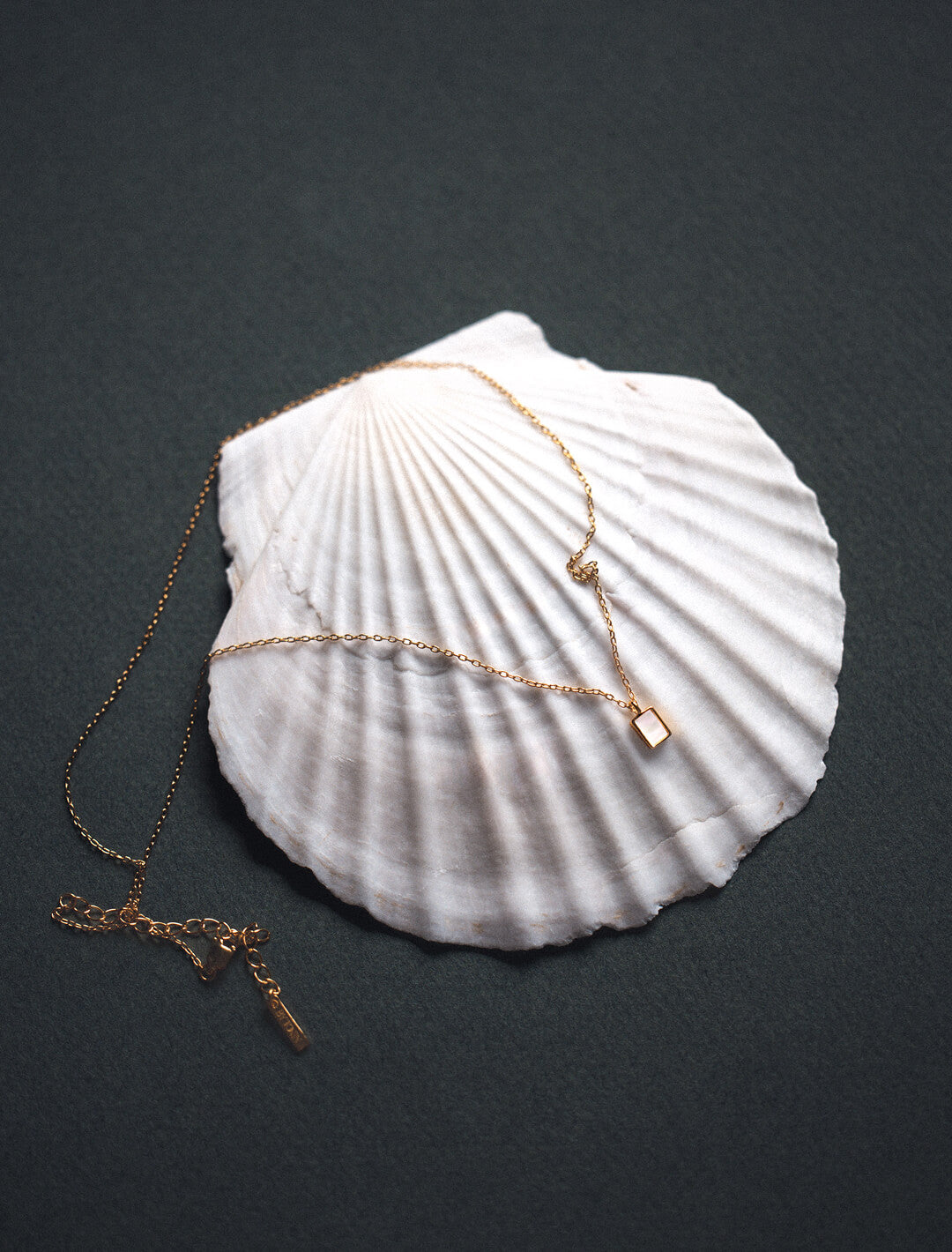 Necklace - Mother of Pearl Baguette pendant on a white Scallop seashell on a dark background.