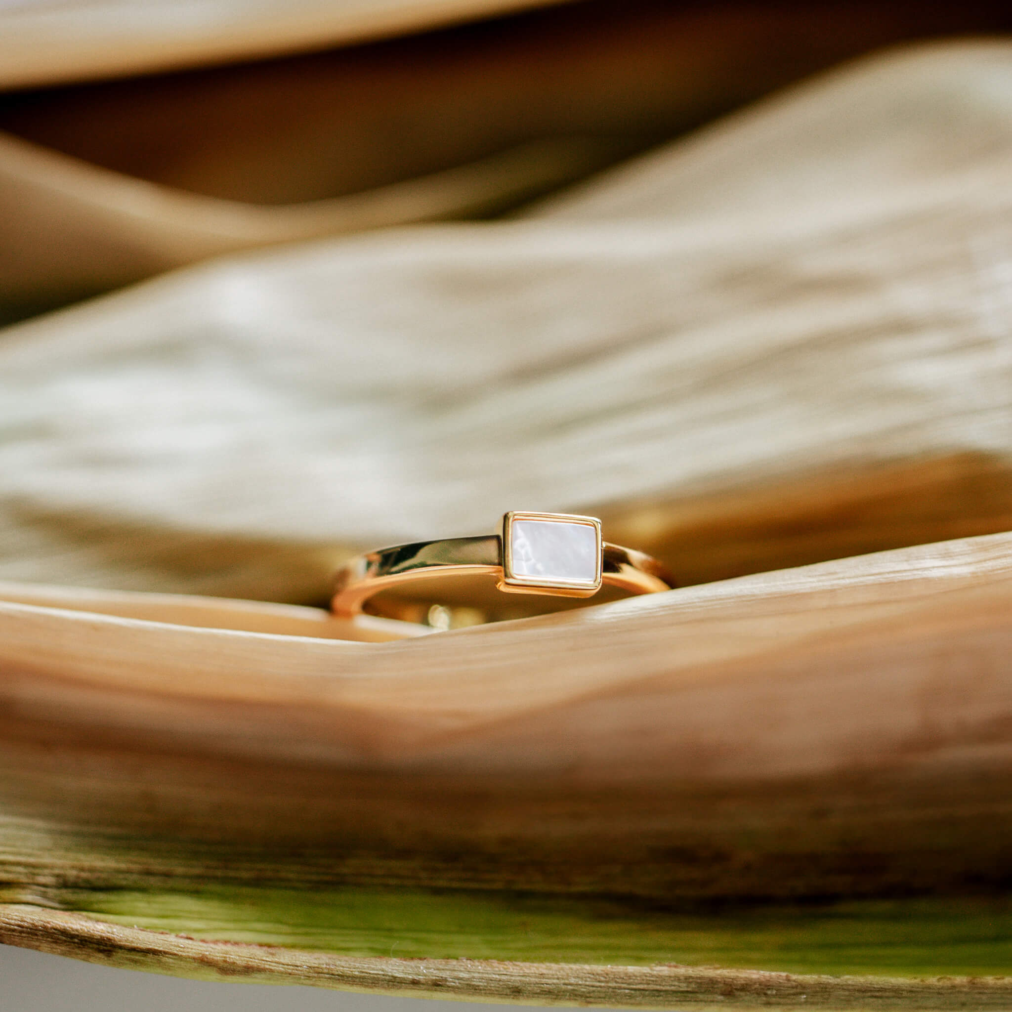 Ring - Close-up of Mother of Pearl baguette ring on a dried leaf.