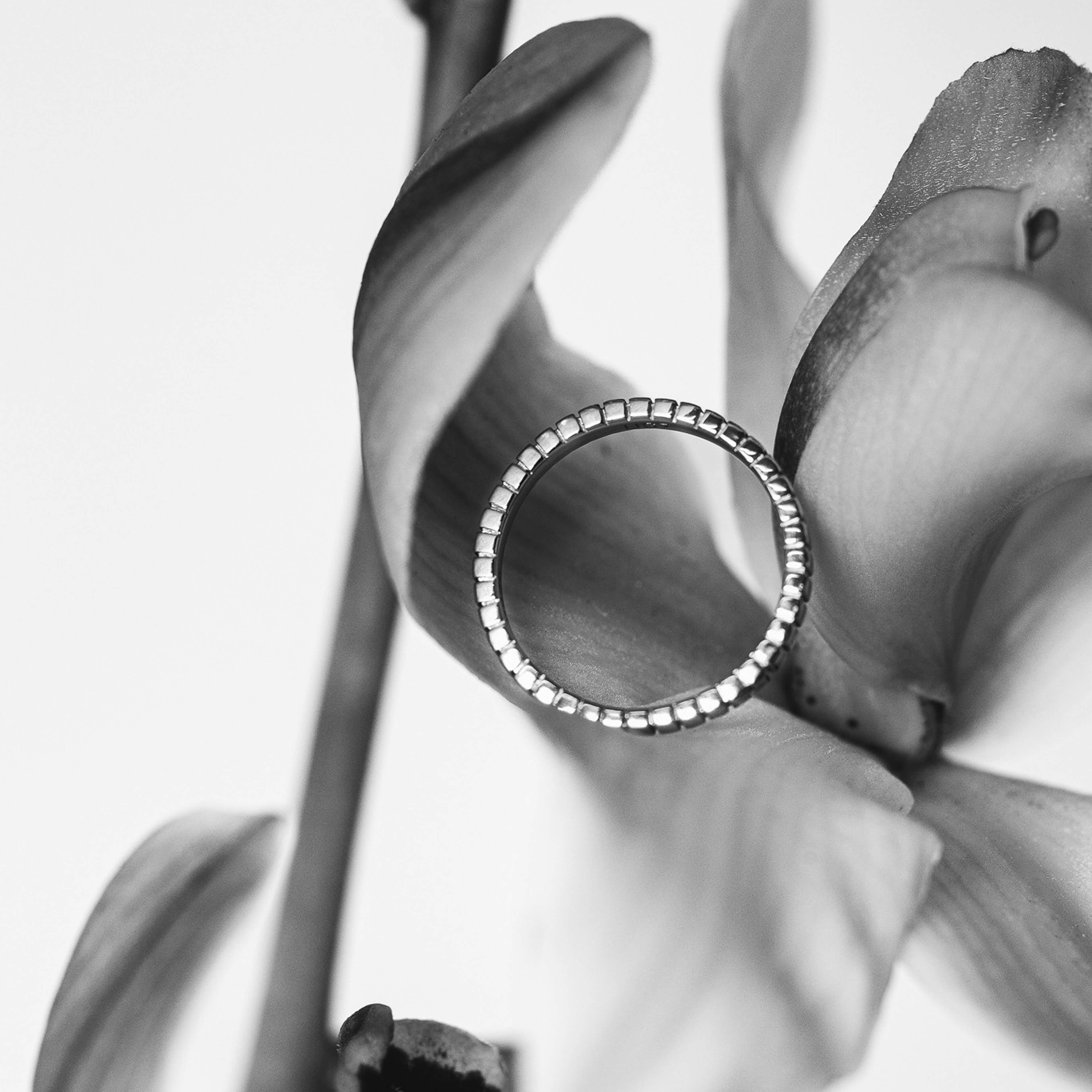 Ridged ring on a orchid flower petal